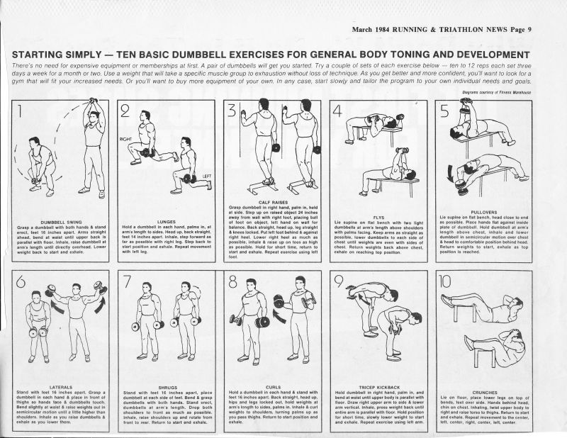 hiit training program for overweight